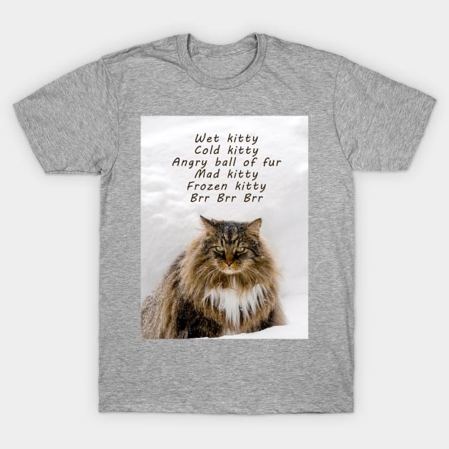 Angry cat in the snow T-Shirt by iyd39